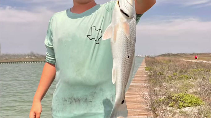 36f753381f9e54a124e470e0e69301d4